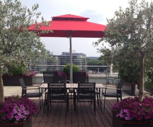 Red Garden Parasol