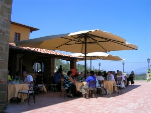 Magnum Commercial umbrella 6m x 5m - Wells Umbrellas