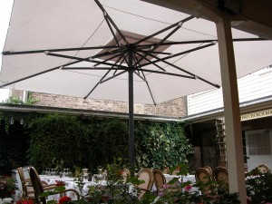Large Courtyard Umbrella