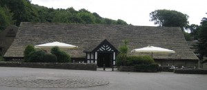 Biggest Commercial Umbrella